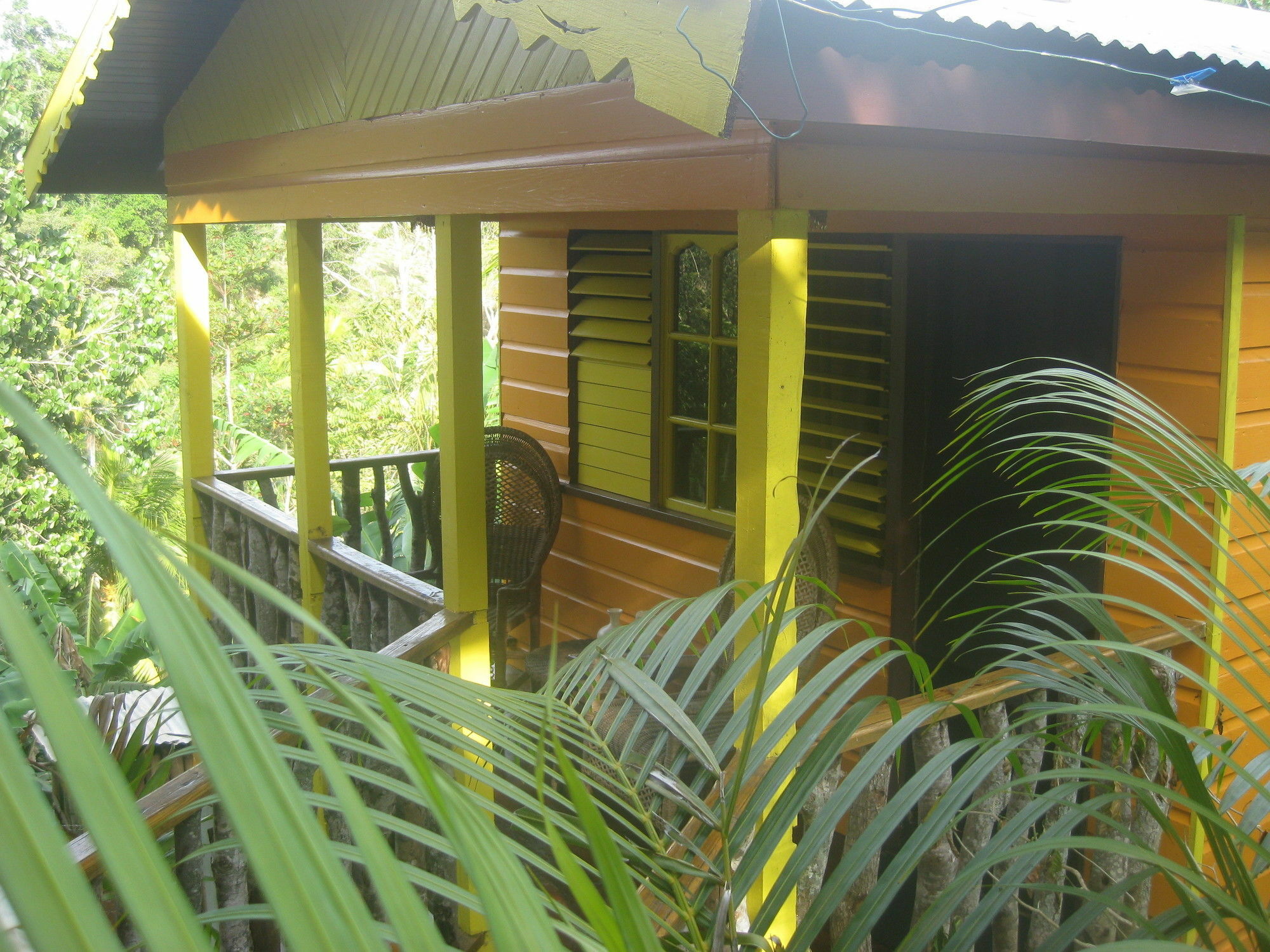 Villa Zimbali Culinary Retreats Negril Esterno foto