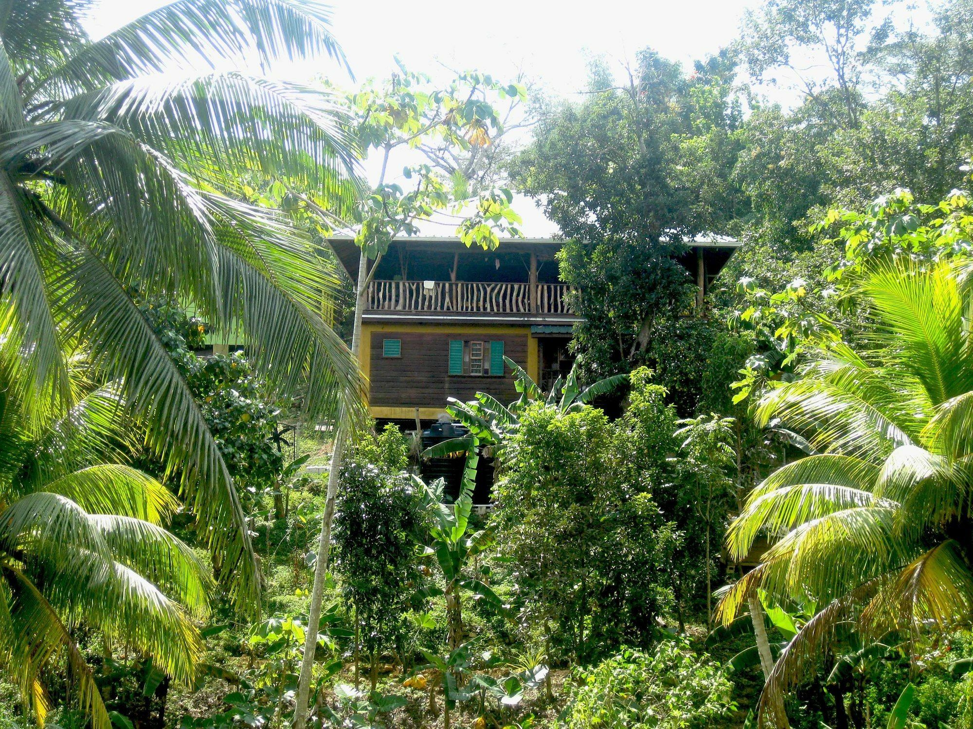 Villa Zimbali Culinary Retreats Negril Esterno foto