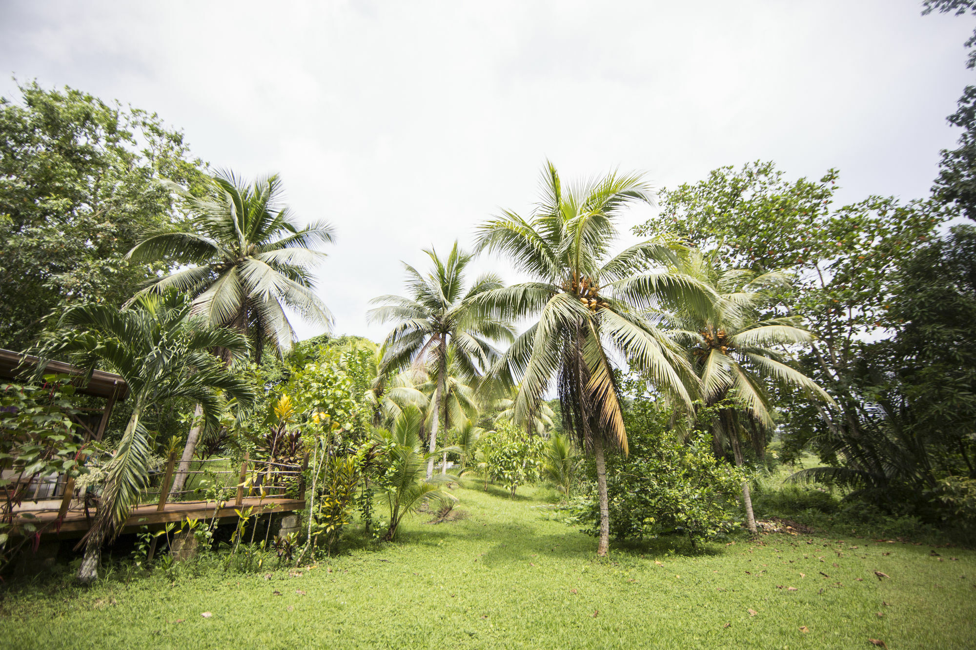 Villa Zimbali Culinary Retreats Negril Esterno foto